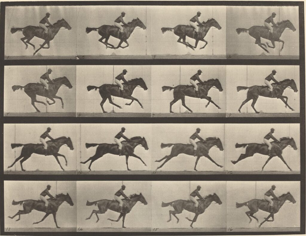 The image shows illusion of movement